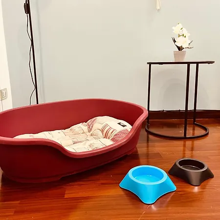 Casa A San Giovanni - Charming Flat In Rom